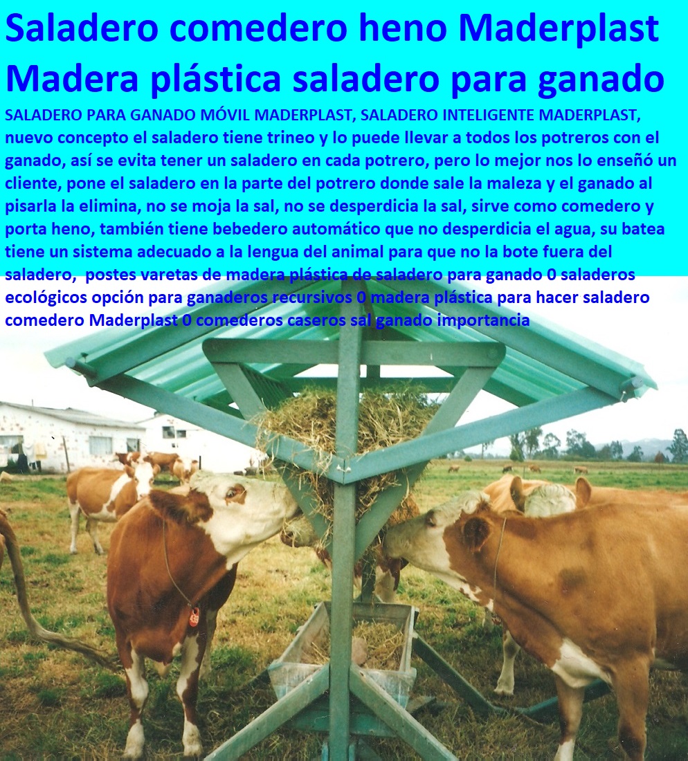 Instalaciones Equipos Ganado de Carne Maderplast Saladero móvil Pastoreo Intensivo, Establos, Corrales, Saladeros, Comederos, Cerramientos, Postes, Ganaderías Tecnificadas, Ganaderías Tecnificadas, Explotación Ganadera Automatizada, Sistemas de Pastoreo, Estabulación de Ganado, portátil Comedero 0 Catálogo de Fabricantes de Rampas Para El Ganado 0 Instalaciones Ganaderas Para Bovinos Pdf 0 Embarcaderos Portátiles Equipos Ganaderos Maderplast Instalaciones Equipos Ganado de Carne Maderplast Saladero móvil portátil Comedero 0 Catálogo de Fabricantes de Rampas Para El Ganado 0 Instalaciones Ganaderas Para Bovinos Pdf 0 Embarcaderos Portátiles Equipos Ganaderos Maderplast 